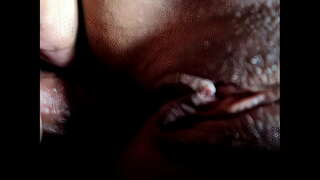 ���ெண் மற்றும் கழுதை