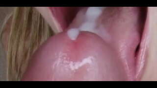 פיקסיישאַן: פּאַמעלעך היפּנאָ האָן דינען טריינער 3