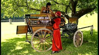 فرشتگان وب کم, خانگی